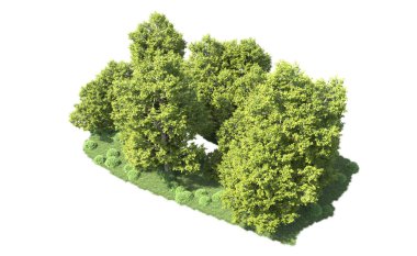 Orman ağaçları arka planda maskeyle izole edilmiş. 3d görüntüleme - illüstrasyon