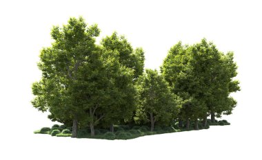 Orman ağaçları arka planda maskeyle izole edilmiş. 3d görüntüleme - illüstrasyon