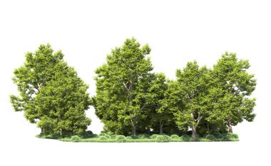 Orman ağaçları arka planda maskeyle izole edilmiş. 3d görüntüleme - illüstrasyon