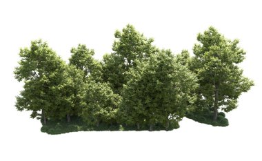 Orman ağaçları arka planda maskeyle izole edilmiş. 3d görüntüleme - illüstrasyon