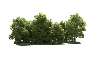 Orman ağaçları arka planda maskeyle izole edilmiş. 3d görüntüleme - illüstrasyon