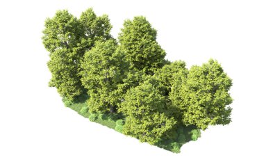 Orman ağaçları arka planda maskeyle izole edilmiş. 3d görüntüleme - illüstrasyon