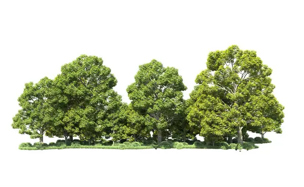 Beyaz arka plan üzerinde izole ağaçlar grubu