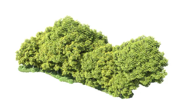 Beyaz arka plan üzerinde izole ağaçlar grubu