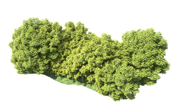 Beyaz arka plan üzerinde izole ağaçlar grubu