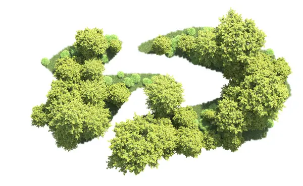 Beyaz arka plan üzerinde izole ağaçlar grubu