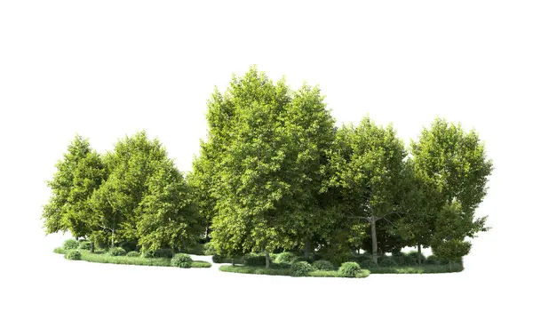 Beyaz arka plan üzerinde izole ağaçlar grubu