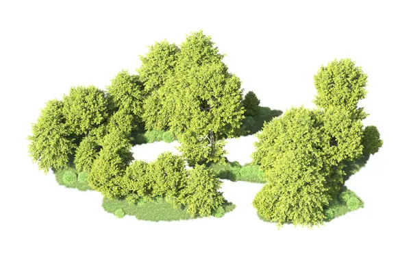 Orman ağaçları arka planda maskeyle izole edilmiş. 3d görüntüleme - illüstrasyon