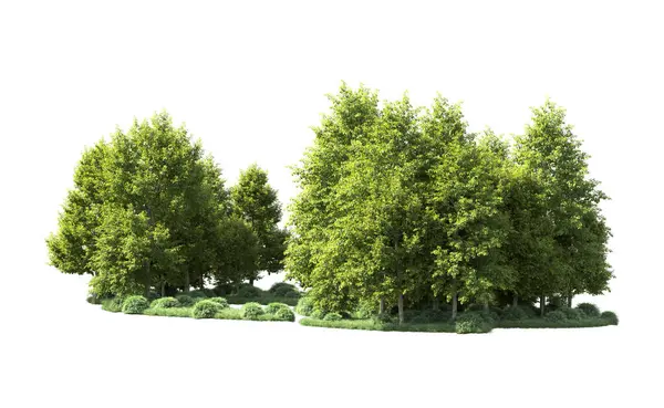 Orman ağaçları arka planda maskeyle izole edilmiş. 3d görüntüleme - illüstrasyon