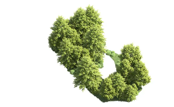 Orman ağaçları arka planda maskeyle izole edilmiş. 3d görüntüleme - illüstrasyon