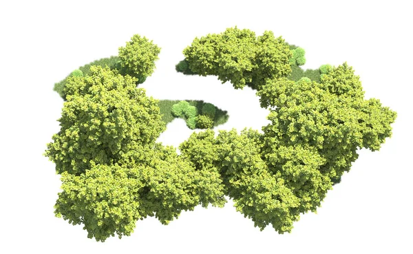 Orman ağaçları arka planda maskeyle izole edilmiş. 3d görüntüleme - illüstrasyon