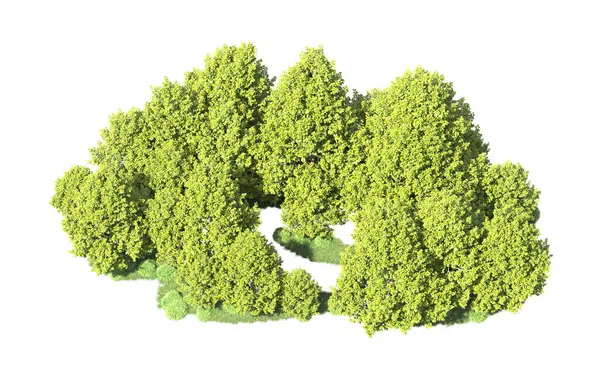 Orman ağaçları arka planda maskeyle izole edilmiş. 3d görüntüleme - illüstrasyon