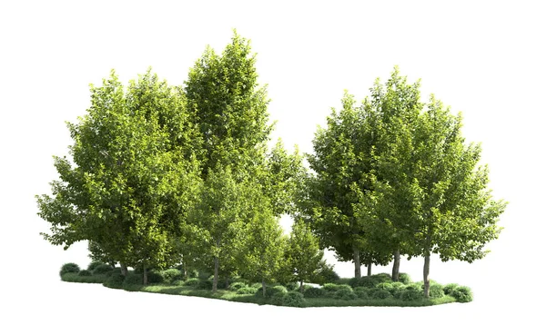 Orman ağaçları arka planda maskeyle izole edilmiş. 3d görüntüleme - illüstrasyon