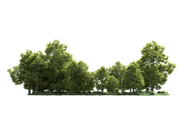 Orman ağaçları arka planda maskeyle izole edilmiş. 3d görüntüleme - illüstrasyon