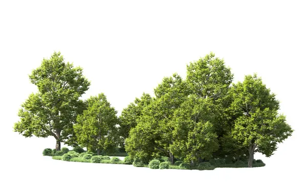 Orman ağaçları arka planda maskeyle izole edilmiş. 3d görüntüleme - illüstrasyon