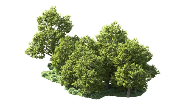 Orman ağaçları arka planda maskeyle izole edilmiş. 3d görüntüleme - illüstrasyon