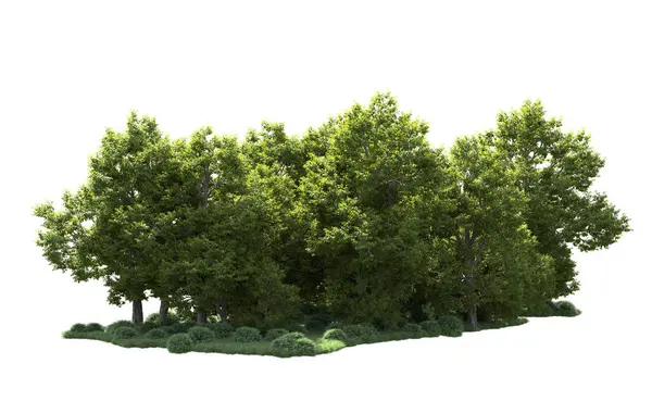 Orman ağaçları arka planda maskeyle izole edilmiş. 3d görüntüleme - illüstrasyon