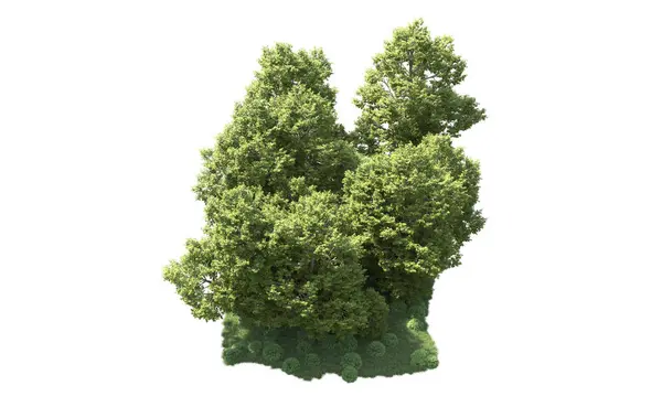 Orman ağaçları arka planda maskeyle izole edilmiş. 3d görüntüleme - illüstrasyon