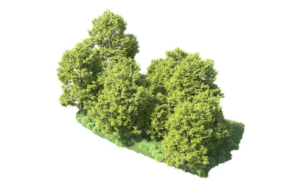 Orman ağaçları arka planda maskeyle izole edilmiş. 3d görüntüleme - illüstrasyon