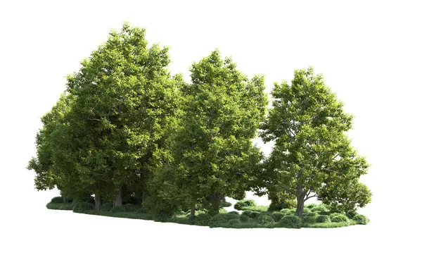 Orman ağaçları arka planda maskeyle izole edilmiş. 3d görüntüleme - illüstrasyon