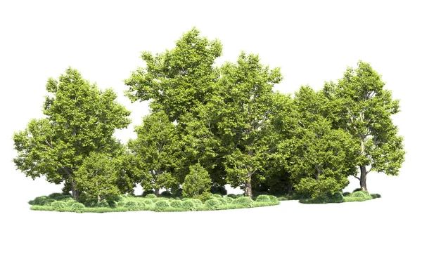 Orman ağaçları arka planda maskeyle izole edilmiş. 3d görüntüleme - illüstrasyon