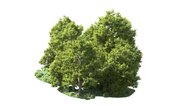 Orman ağaçları arka planda maskeyle izole edilmiş. 3d görüntüleme - illüstrasyon