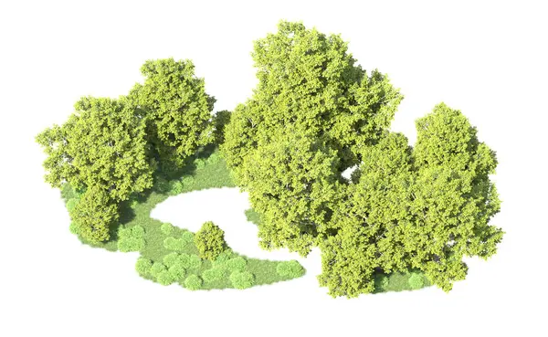 Orman ağaçları arka planda maskeyle izole edilmiş. 3d görüntüleme - illüstrasyon