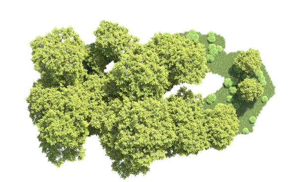 Orman ağaçları arka planda maskeyle izole edilmiş. 3d görüntüleme - illüstrasyon