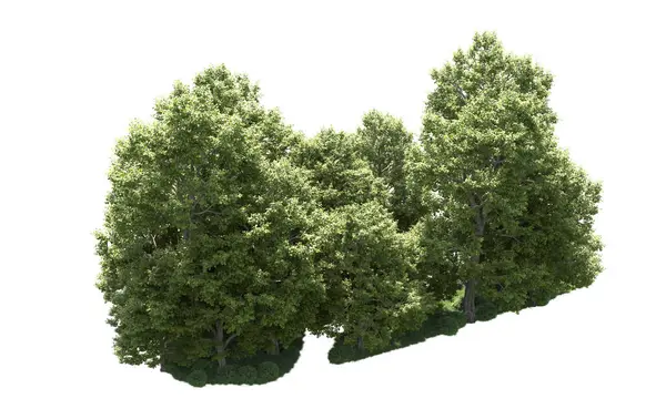 Orman ağaçları arka planda maskeyle izole edilmiş. 3d görüntüleme - illüstrasyon