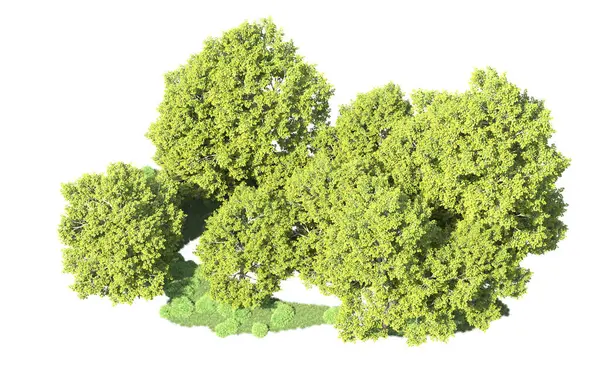 Orman ağaçları arka planda maskeyle izole edilmiş. 3d görüntüleme - illüstrasyon