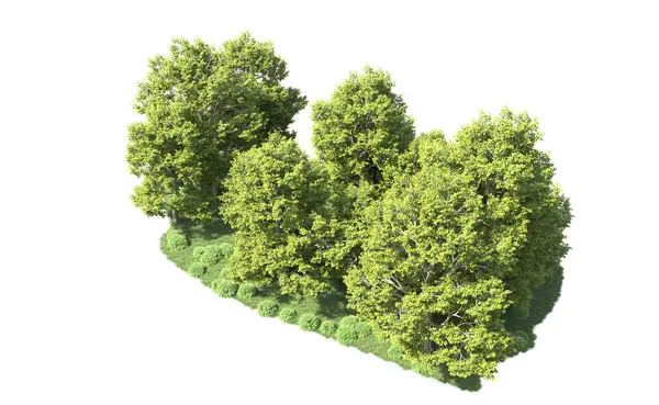 Orman ağaçları arka planda maskeyle izole edilmiş. 3d görüntüleme - illüstrasyon