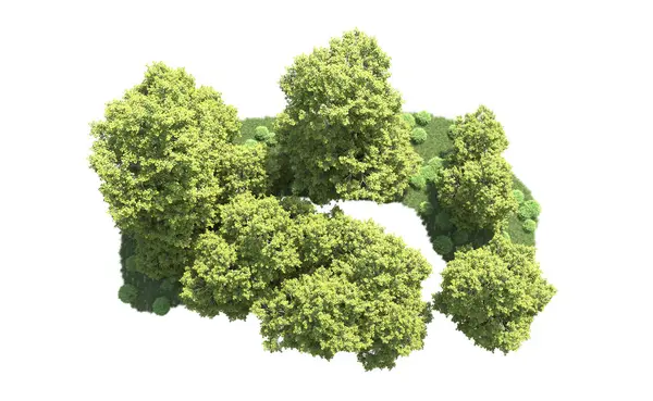 Orman ağaçları arka planda maskeyle izole edilmiş. 3d görüntüleme - illüstrasyon