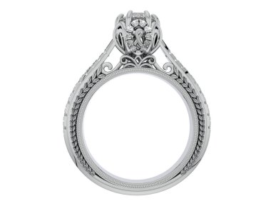 Beyaz arkaplanda izole edilmiş güzel halka. 