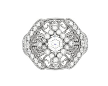 Beyaz arkaplanda izole edilmiş güzel halka. 