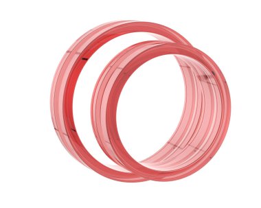 Güzel nişan yüzüğü arka planda izole edildi. 