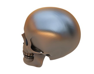 kafatası beyaz arkaplanda izole edildi 