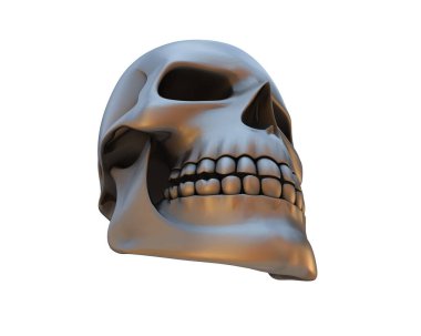 kafatası beyaz arkaplanda izole edildi 