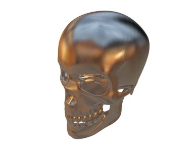 kafatası beyaz arkaplanda izole edildi 