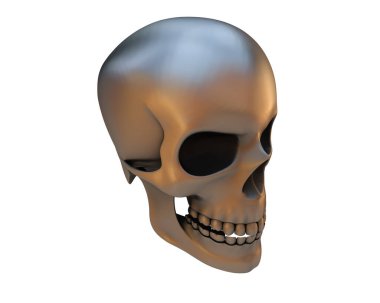 kafatası beyaz arkaplanda izole edildi 