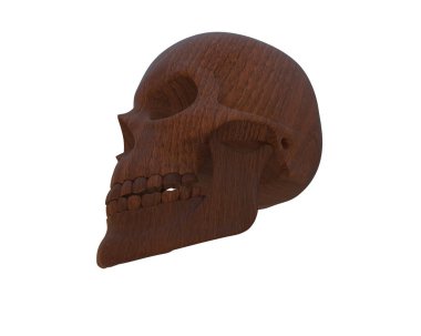 kafatası beyaz arkaplanda izole edildi 