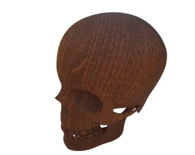 kafatası beyaz arkaplanda izole edildi 