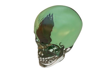 kafatası beyaz arkaplanda izole edildi 