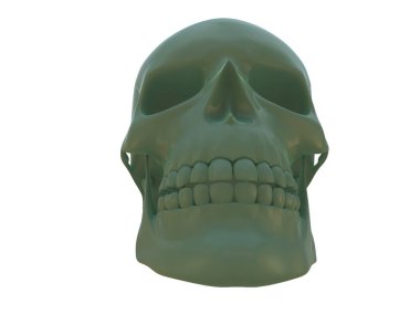 kafatası beyaz arkaplanda izole edildi 