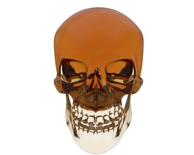 kafatası beyaz arkaplanda izole edildi 