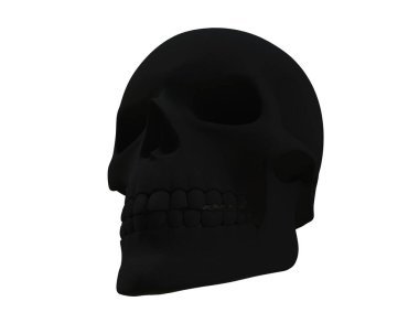 kafatası beyaz arkaplanda izole edildi 