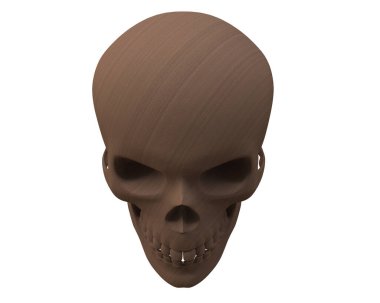 kafatası beyaz arkaplanda izole edildi 