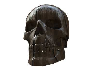 kafatası beyaz arkaplanda izole edildi 