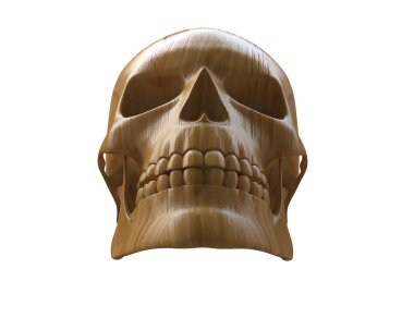 kafatası beyaz arkaplanda izole edildi 