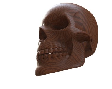 kafatası beyaz arkaplanda izole edildi 