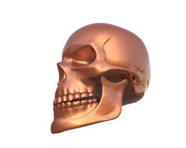 kafatası beyaz arkaplanda izole edildi 